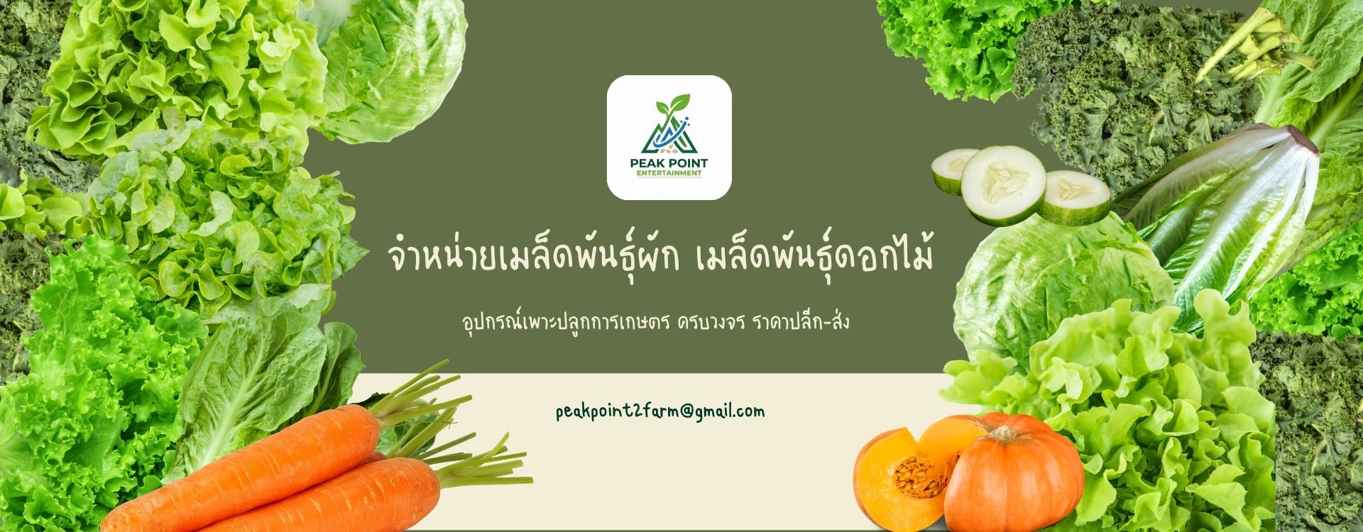 Banner บริษัท พีคพอยท์ เอนเตอร์เทนเมนต์ จำกัด (4)