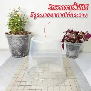 กระถางใส