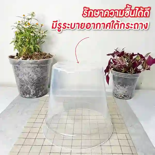 กระถางใส