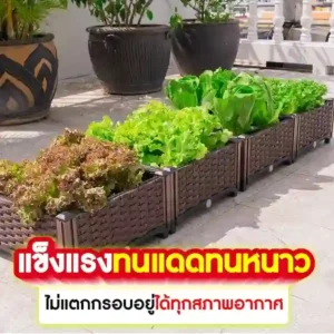 กระบะปลูกผักสวนครัว ขนาด 40*40*22 cm.
