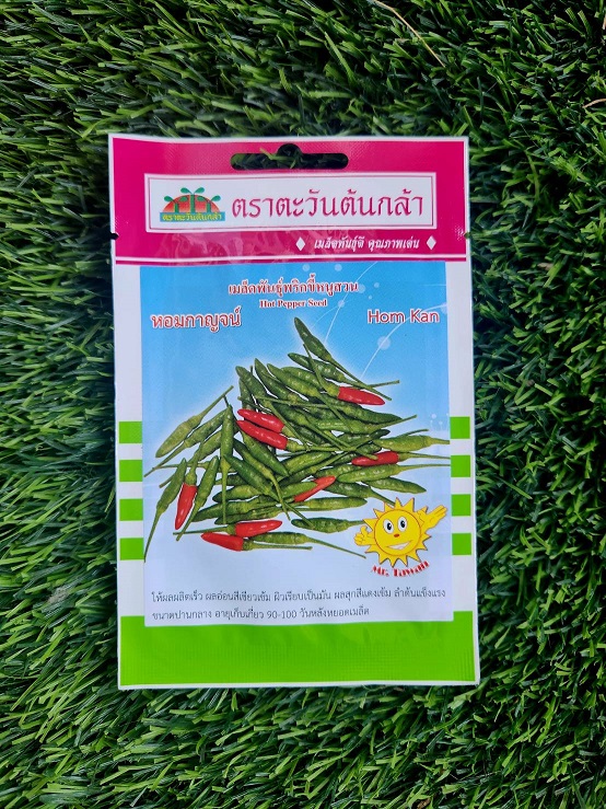 เมล็ดพริกขี้หนูสวน หอมกาญจน์ ตรา ตะวันต้นกล้า