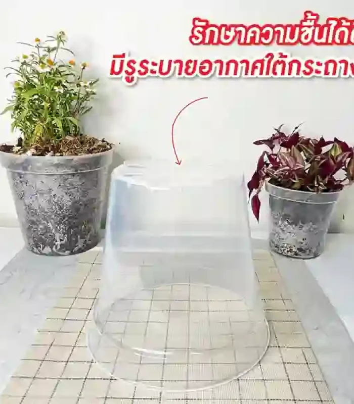 กระถางใส