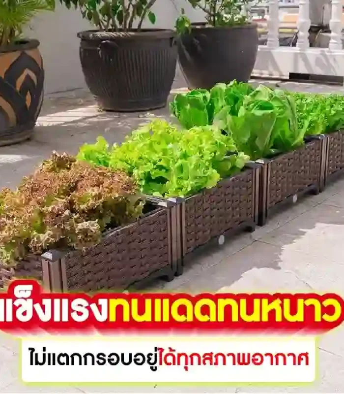 กระบะปลูกผักสวนครัว ขนาด 40*40*22 cm.