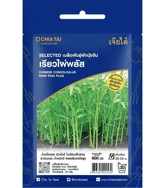 เมล็ดพันธุ์ ผักบุ้งจีน เรียวไผ่พลัส เจียไต๋