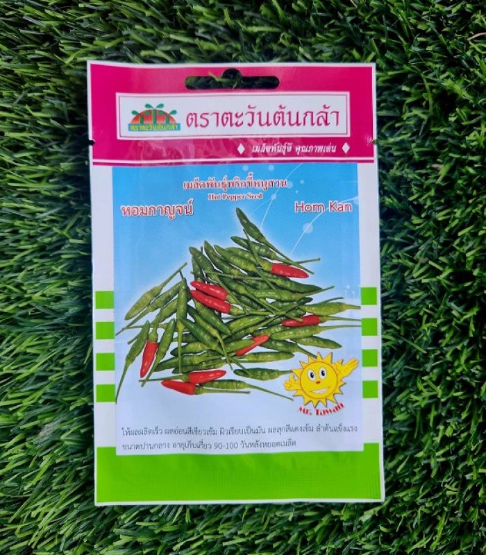 เมล็ดพริกขี้หนูสวน หอมกาญจน์ ตรา ตะวันต้นกล้า